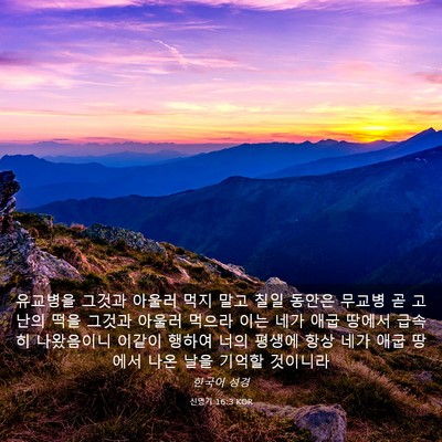 Picture 03 - 신명기 16:3 KOR - 유교병을 그것과 아울러 먹지 말고 - Bible Verse Picture