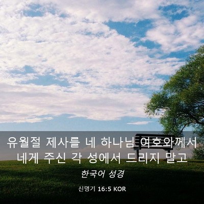 Picture 03 - 신명기 16:5 KOR - 유월절 제사를 네 하나님 여호와께서 - Bible Verse Picture