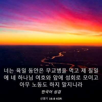 Picture 03 - 신명기 16:8 KOR - 너는 육일 동안은 무교병을 먹고 제 - Bible Verse Picture