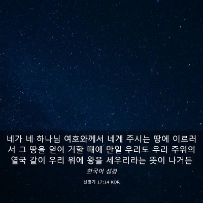 Picture 03 - 신명기 17:14 KOR - 네가 네 하나님 여호와께서 네게 - Bible Verse Picture