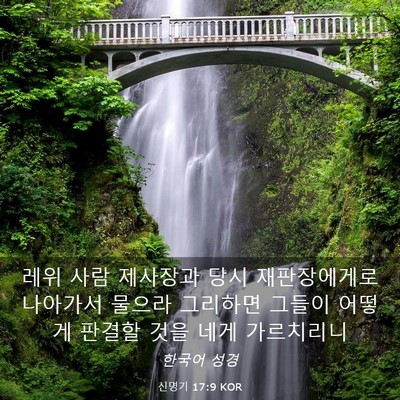 Picture 03 - 신명기 17:9 KOR - 레위 사람 제사장과 당시 - Bible Verse Picture