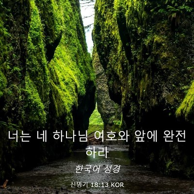 Picture 03 - 신명기 18:13 KOR - 너는 네 하나님 여호와 앞에 - Bible Verse Picture