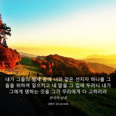 Picture 03 - 신명기 18:18 KOR - 내가 그들의 형제 중에 너와 같은 - Bible Verse Picture