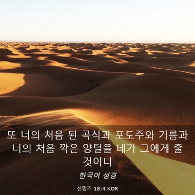 Picture 03 - 신명기 18:4 KOR - 또 너의 처음 된 곡식과 포도주와 - Bible Verse Picture