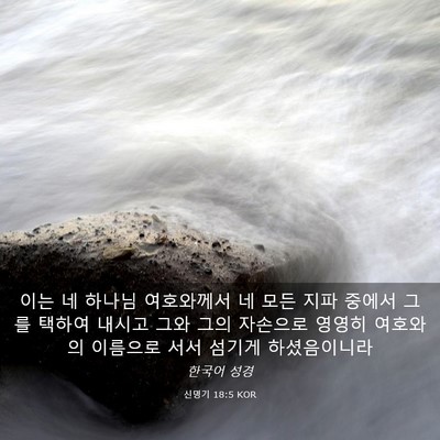 Picture 03 - 신명기 18:5 KOR - 이는 네 하나님 여호와께서 네 모든 - Bible Verse Picture
