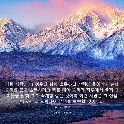 Picture 03 - 신명기 19:5 KOR - 가령 사람이 그 이웃과 함께 - Bible Verse Picture