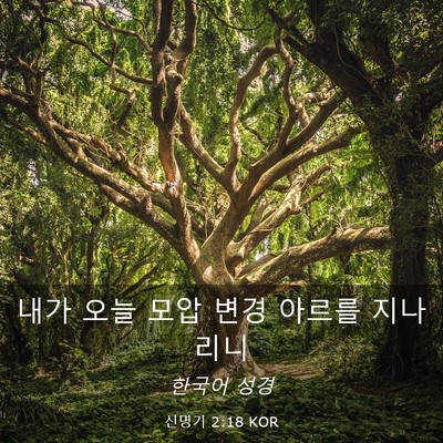 Picture 03 - 신명기 2:18 KOR - 내가 오늘 모압 변경 아르를 - Bible Verse Picture