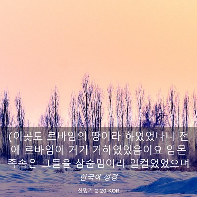 Picture 03 - 신명기 2:20 KOR - (이곳도 르바임의 땅이라 하였었나니 - Bible Verse Picture