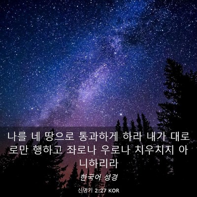 Picture 03 - 신명기 2:27 KOR - 나를 네 땅으로 통과하게 하라 내가 - Bible Verse Picture