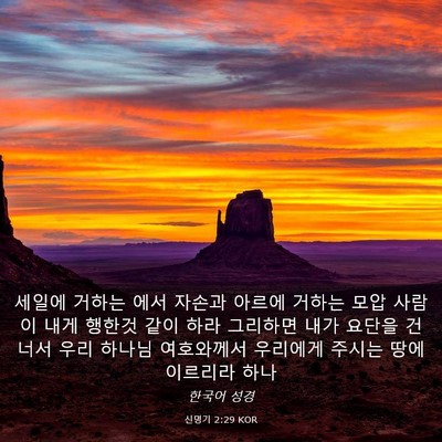 Picture 03 - 신명기 2:29 KOR - 세일에 거하는 에서 자손과 아르에 - Bible Verse Picture