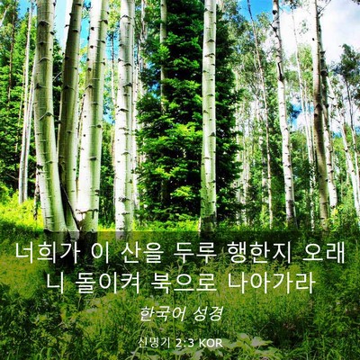 Picture 03 - 신명기 2:3 KOR - 너희가 이 산을 두루 행한지 오래니 - Bible Verse Picture