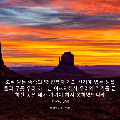 Picture 03 - 신명기 2:37 KOR - 오직 암몬 족속의 땅 얍복강 가와 - Bible Verse Picture