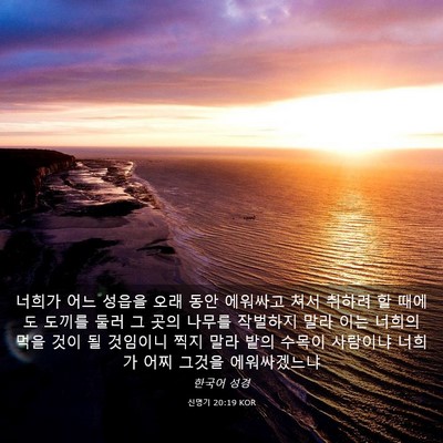 Picture 03 - 신명기 20:19 KOR - 너희가 어느 성읍을 오래 동안 - Bible Verse Picture