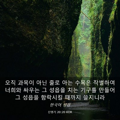 Picture 03 - 신명기 20:20 KOR - 오직 과목이 아닌 줄로 아는 수목은 - Bible Verse Picture
