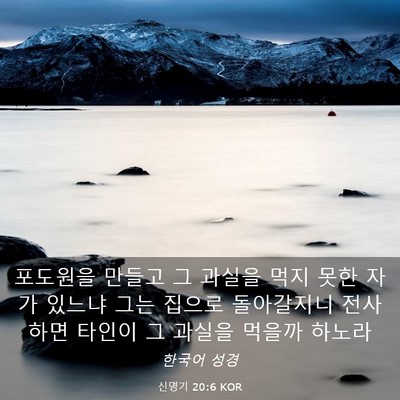 Picture 03 - 신명기 20:6 KOR - 포도원을 만들고 그 과실을 먹지 - Bible Verse Picture
