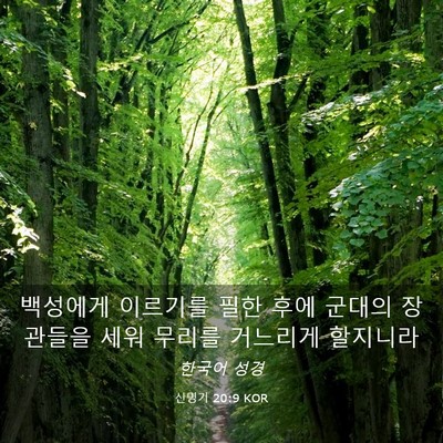 Picture 03 - 신명기 20:9 KOR - 백성에게 이르기를 필한 후에 군대의 - Bible Verse Picture