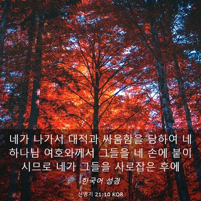 Picture 03 - 신명기 21:10 KOR - 네가 나가서 대적과 싸움함을 당하여 - Bible Verse Picture