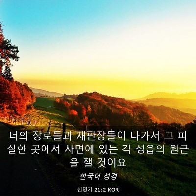 Picture 03 - 신명기 21:2 KOR - 너의 장로들과 재판장들이 나가서 그 - Bible Verse Picture