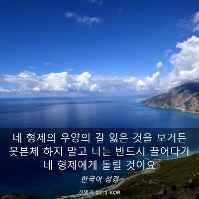 Picture 03 - 신명기 22:1 KOR - 네 형제의 우양의 길 잃은 것을 - Bible Verse Picture