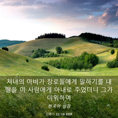 Picture 03 - 신명기 22:16 KOR - 처녀의 아비가 장로들에게 말하기를 - Bible Verse Picture