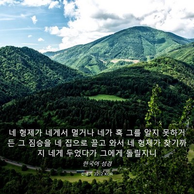 Picture 03 - 신명기 22:2 KOR - 네 형제가 네게서 멀거나 네가 혹 - Bible Verse Picture