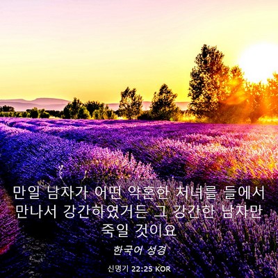 Picture 03 - 신명기 22:25 KOR - 만일 남자가 어떤 약혼한 처녀를 - Bible Verse Picture