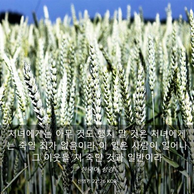 Picture 03 - 신명기 22:26 KOR - 처녀에게는 아무 것도 행치 말 것은 - Bible Verse Picture