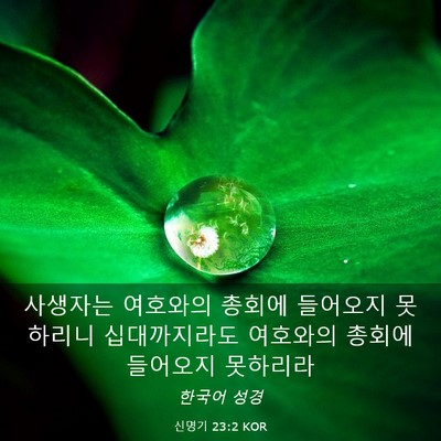 Picture 03 - 신명기 23:2 KOR - 사생자는 여호와의 총회에 들어오지 - Bible Verse Picture