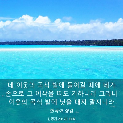 Picture 03 - 신명기 23:25 KOR - 네 이웃의 곡식 밭에 들어갈 때에 - Bible Verse Picture