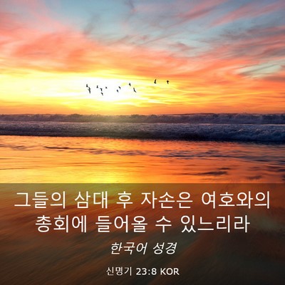 Picture 03 - 신명기 23:8 KOR - 그들의 삼대 후 자손은 여호와의 - Bible Verse Picture