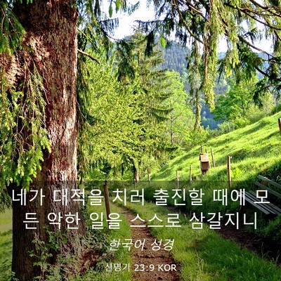 Picture 03 - 신명기 23:9 KOR - 네가 대적을 치러 출진할 때에 모든 - Bible Verse Picture