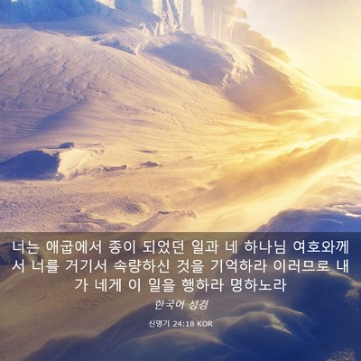 Picture 03 - 신명기 24:18 KOR - 너는 애굽에서 종이 되었던 일과 네 - Bible Verse Picture