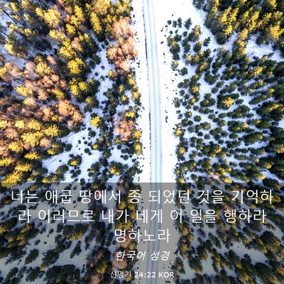 Picture 03 - 신명기 24:22 KOR - 너는 애굽 땅에서 종 되었던 것을 - Bible Verse Picture