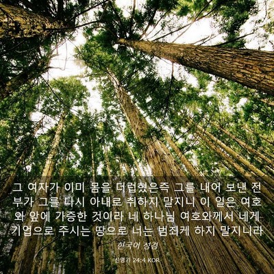 Picture 03 - 신명기 24:4 KOR - 그 여자가 이미 몸을 더럽혔은즉 - Bible Verse Picture