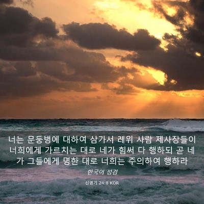 Picture 03 - 신명기 24:8 KOR - 너는 문둥병에 대하여 삼가서 레위 - Bible Verse Picture