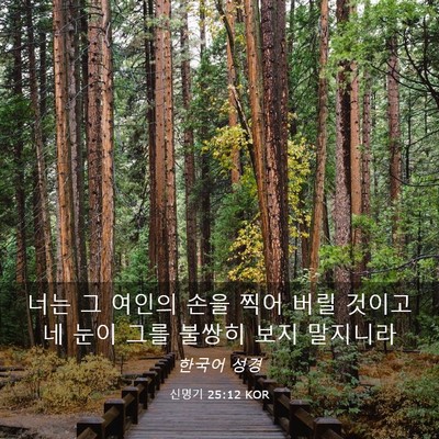 Picture 03 - 신명기 25:12 KOR - 너는 그 여인의 손을 찍어 버릴 - Bible Verse Picture
