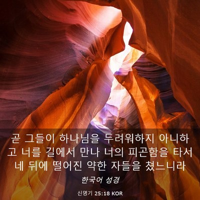 Picture 03 - 신명기 25:18 KOR - 곧 그들이 하나님을 두려워하지 - Bible Verse Picture