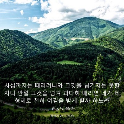 Picture 03 - 신명기 25:3 KOR - 사십까지는 때리려니와 그것을 - Bible Verse Picture