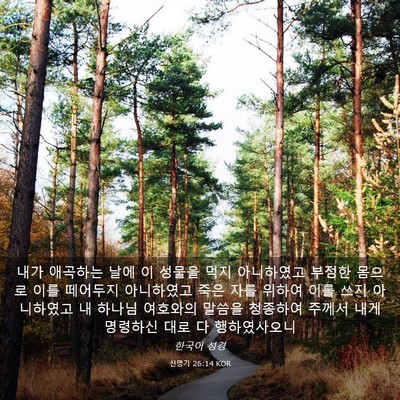 Picture 03 - 신명기 26:14 KOR - 내가 애곡하는 날에 이 성물을 먹지 - Bible Verse Picture