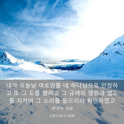 Picture 03 - 신명기 26:17 KOR - 네가 오늘날 여호와를 네 하나님으로 - Bible Verse Picture