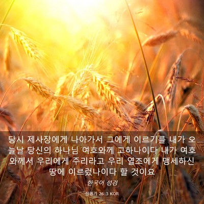 Picture 03 - 신명기 26:3 KOR - 당시 제사장에게 나아가서 그에게 - Bible Verse Picture