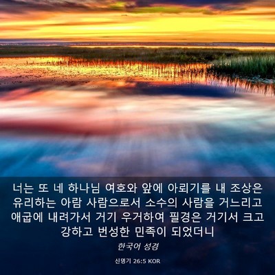 Picture 03 - 신명기 26:5 KOR - 너는 또 네 하나님 여호와 앞에 - Bible Verse Picture