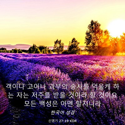 Picture 03 - 신명기 27:19 KOR - 객이나 고아나 과부의 송사를 억울케 - Bible Verse Picture