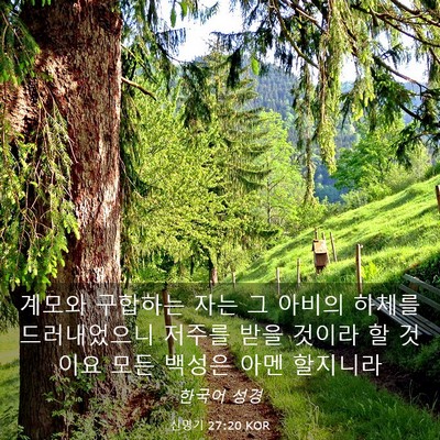 Picture 03 - 신명기 27:20 KOR - 계모와 구합하는 자는 그 아비의 - Bible Verse Picture