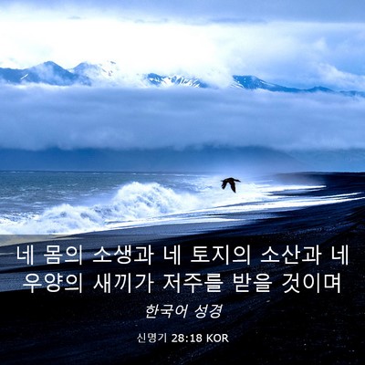 Picture 03 - 신명기 28:18 KOR - 네 몸의 소생과 네 토지의 소산과 네 - Bible Verse Picture