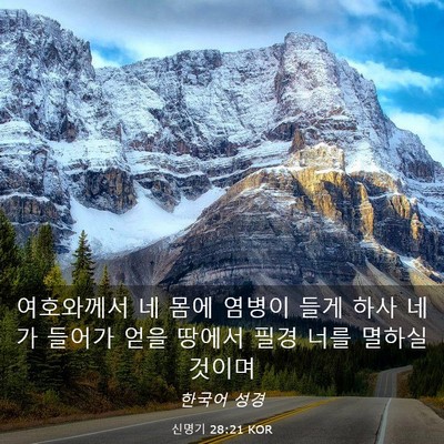 Picture 03 - 신명기 28:21 KOR - 여호와께서 네 몸에 염병이 들게 - Bible Verse Picture