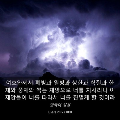 Picture 03 - 신명기 28:22 KOR - 여호와께서 폐병과 열병과 상한과 - Bible Verse Picture