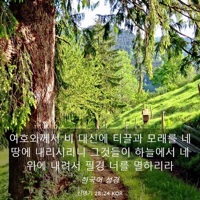 Picture 03 - 신명기 28:24 KOR - 여호와께서 비 대신에 티끌과 모래를 - Bible Verse Picture