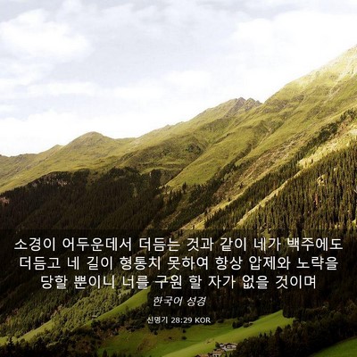 Picture 03 - 신명기 28:29 KOR - 소경이 어두운데서 더듬는 것과 같이 - Bible Verse Picture