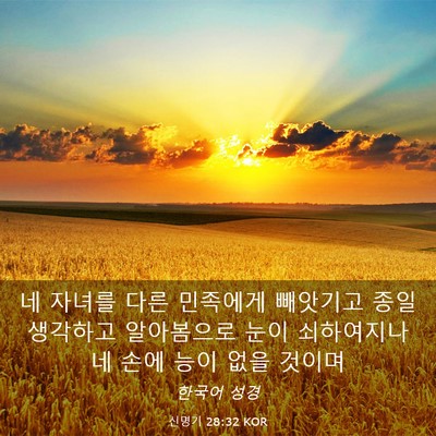 Picture 03 - 신명기 28:32 KOR - 네 자녀를 다른 민족에게 빼앗기고 - Bible Verse Picture